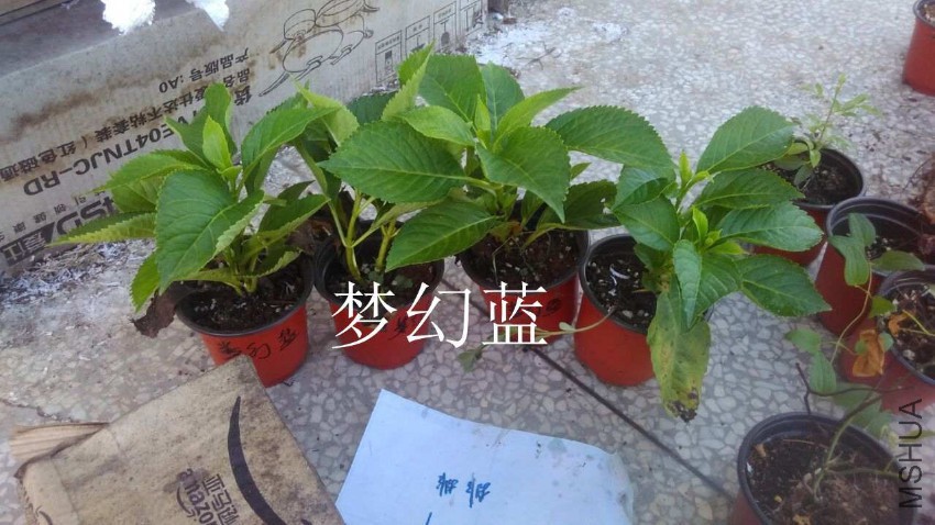 QQͼƬ20160807211710.jpg