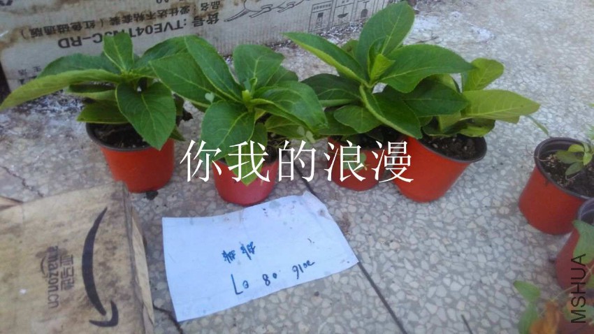 QQͼƬ20160807211713.jpg