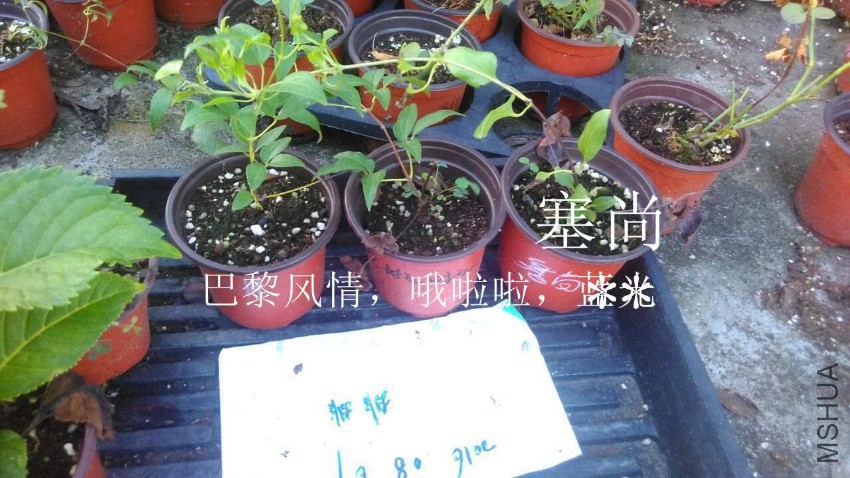 QQͼƬ20160807212413.jpg