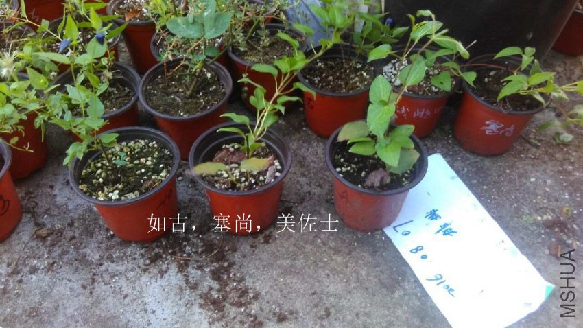 QQͼƬ20160807212417.jpg