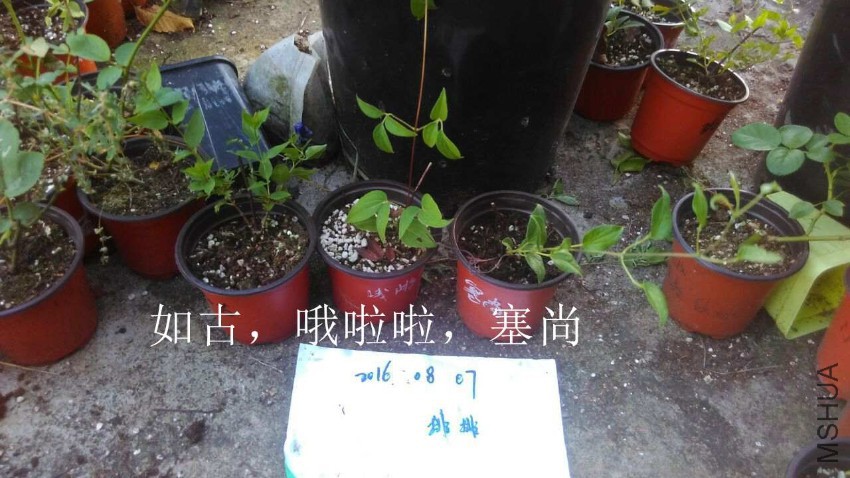 QQͼƬ20160807212420.jpg