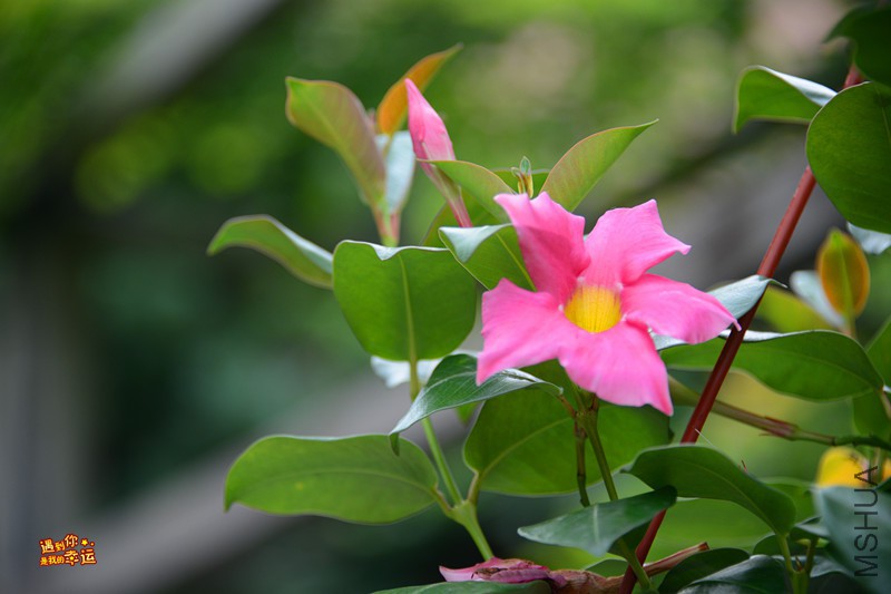 ��Ƭ 144_����.jpg