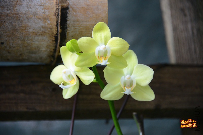 ��Ƭ 071_����.jpg