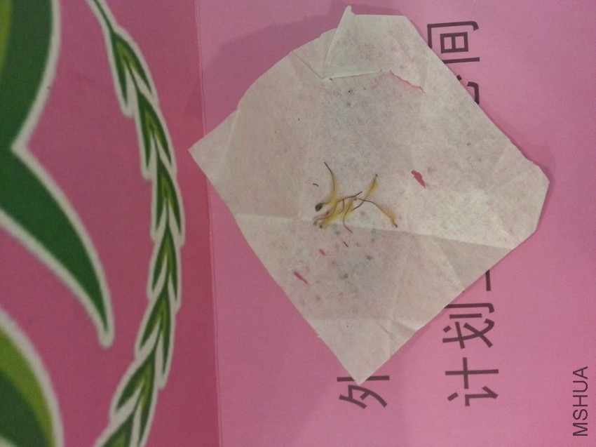 20160808_100902.jpg