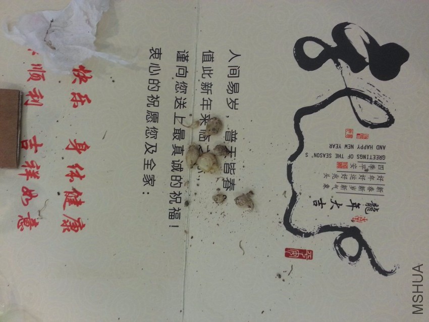 20160808_100856.jpg
