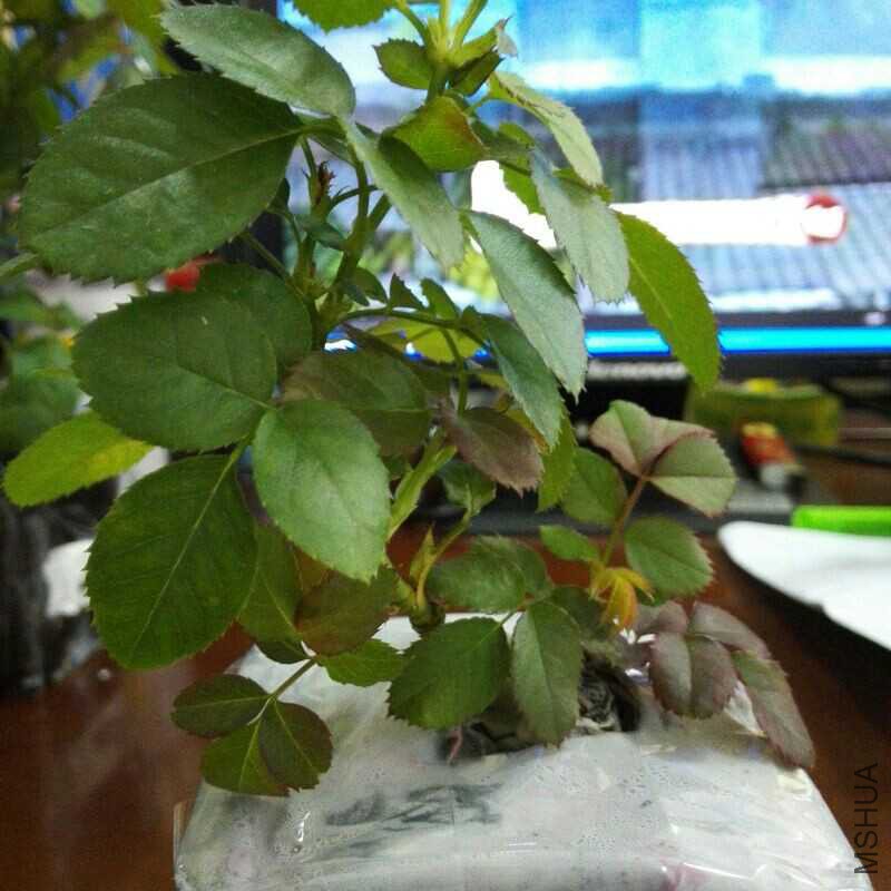 UC_Photo_002.jpg