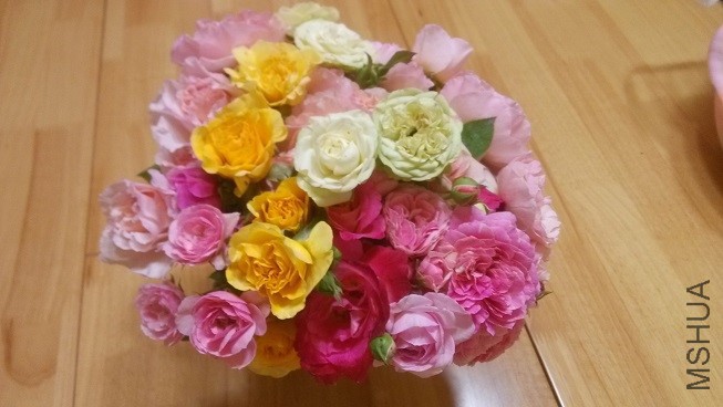 IMG_20160809_182536.jpg