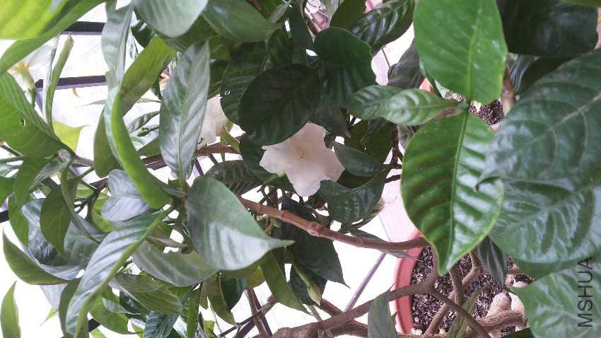 20160728_073128.jpg