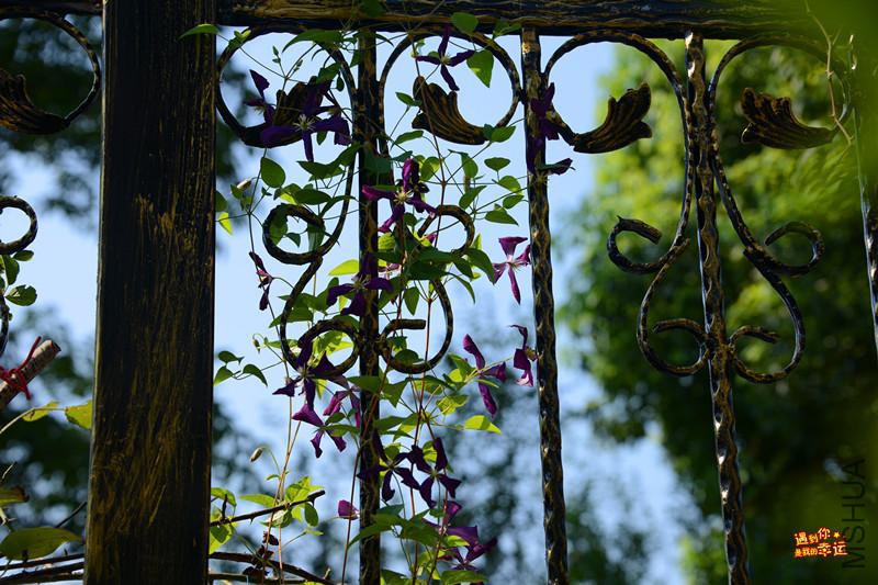 ��Ƭ 058_����.jpg