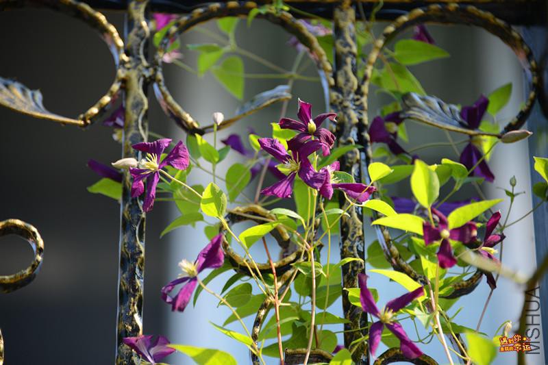 ��Ƭ 061_����.jpg