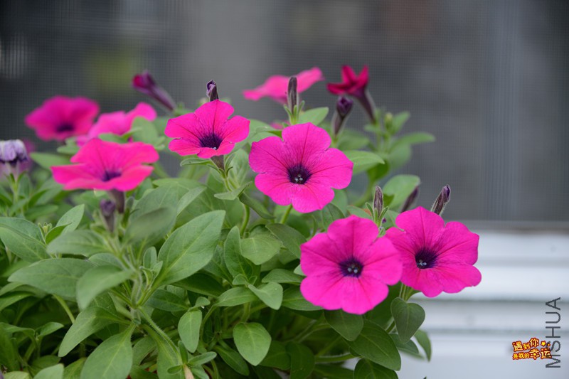 ��Ƭ 159_����.jpg