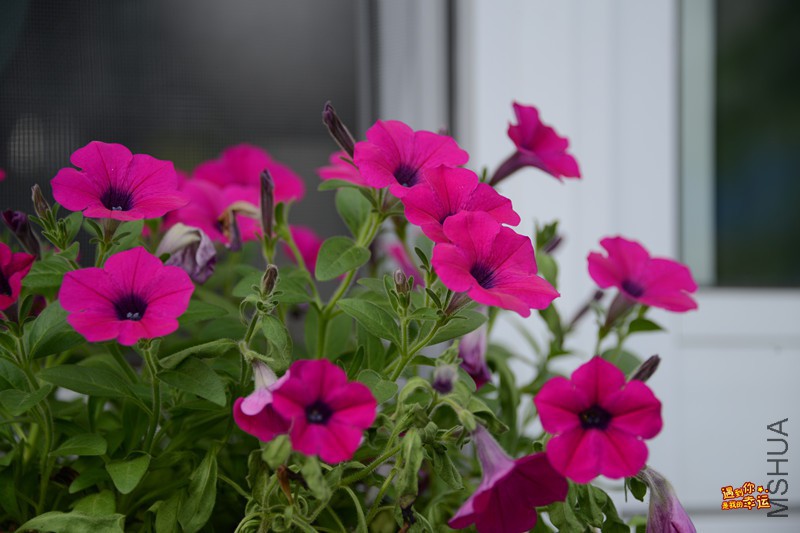 ��Ƭ 161_����.jpg