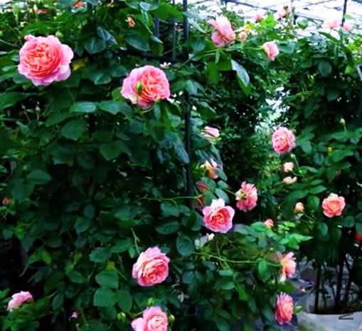 2016-08-11 02.57.27 1.jpg