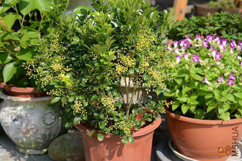 ��Ƭ 044_����.jpg