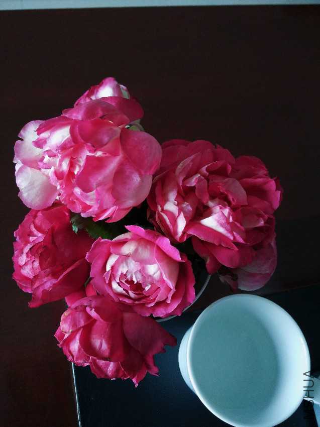 2016-08-11 07.56.37 1.jpg