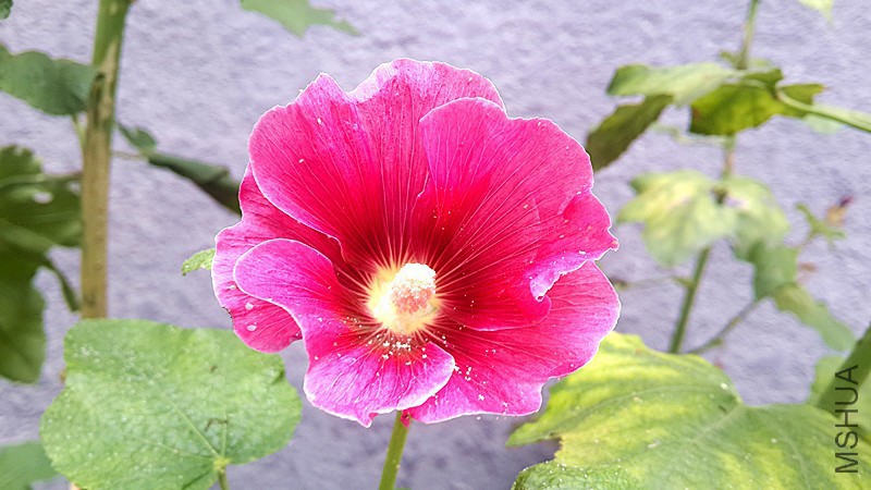 20160811_080401_����.jpg