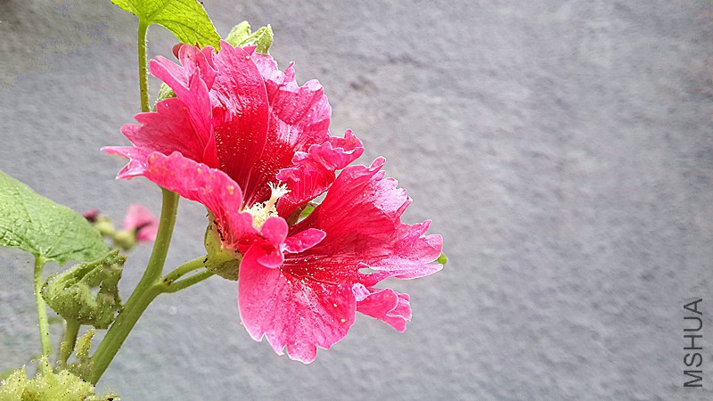 20160811_080412_����.jpg