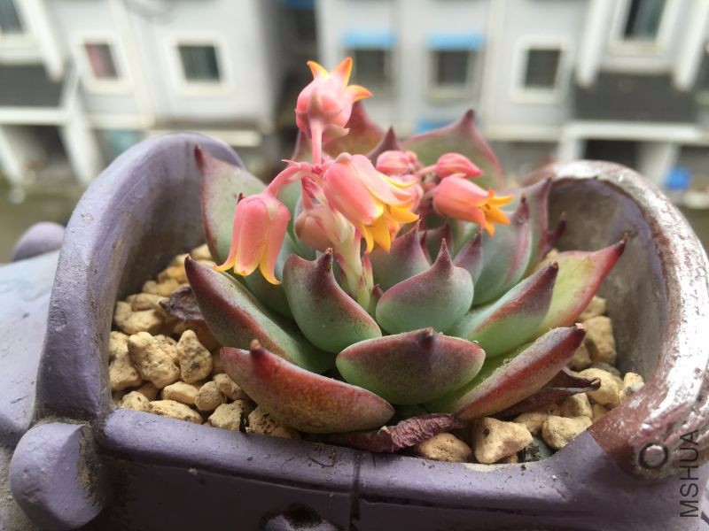 ������