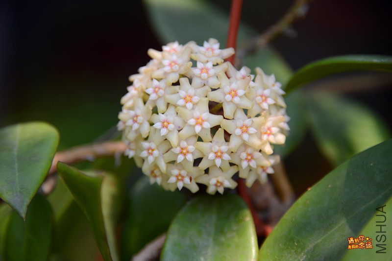 ��Ƭ 083_����.jpg