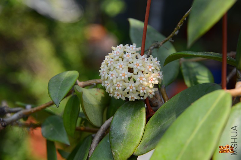 ��Ƭ 085_����.jpg