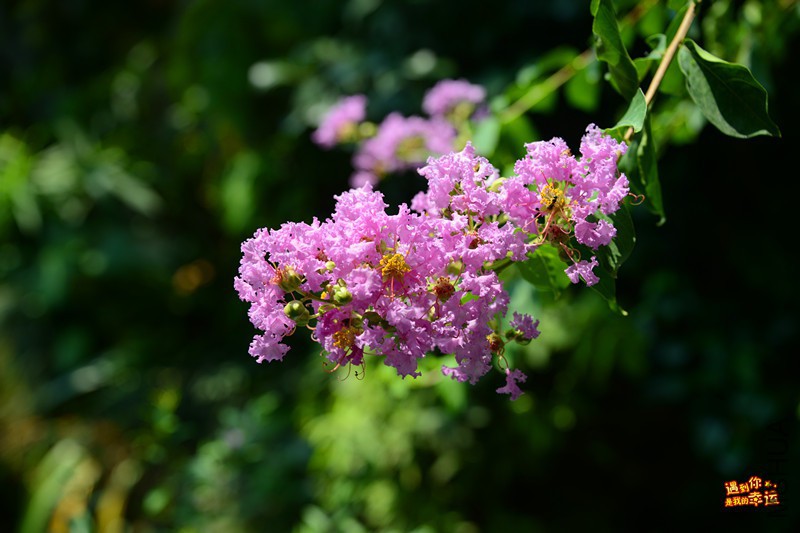 ��Ƭ 066_����.jpg