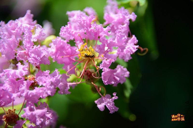 ��Ƭ 068_����.jpg