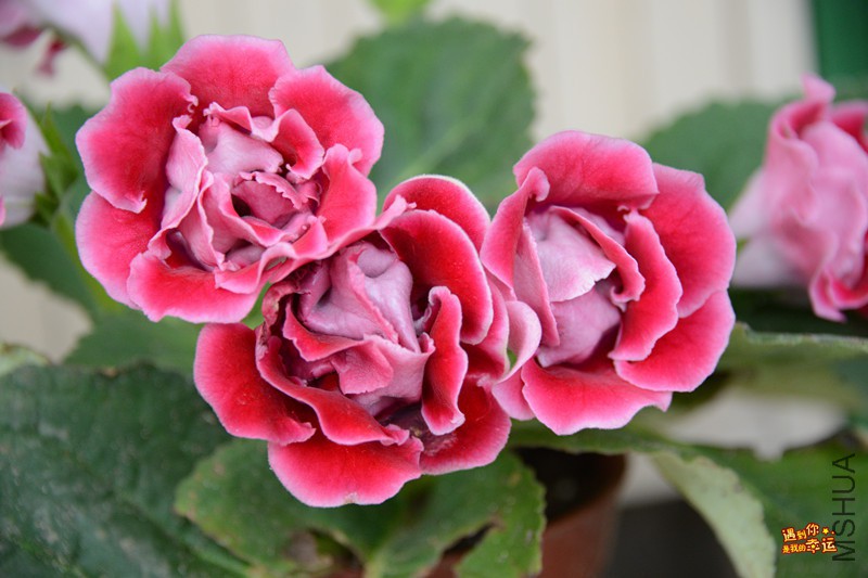 ��Ƭ 128_����.jpg