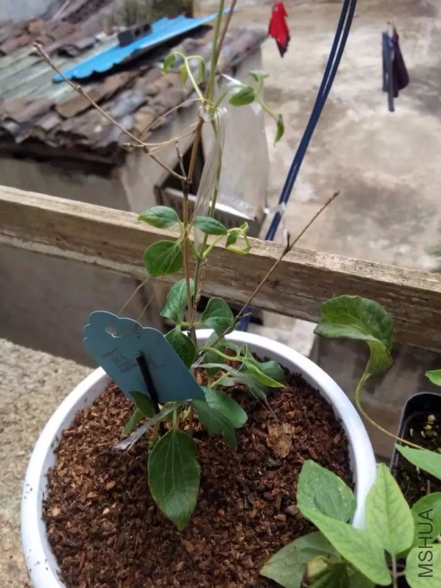 2345_image_file_copy_4.jpg