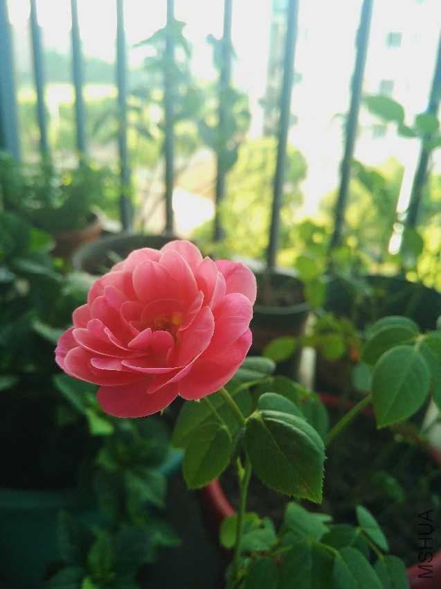 2016-08-14 06.37.43 2.jpg