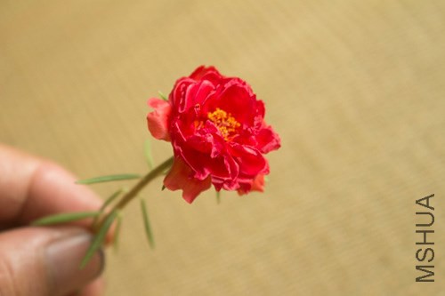 IMG_1508jpg0814.jpg