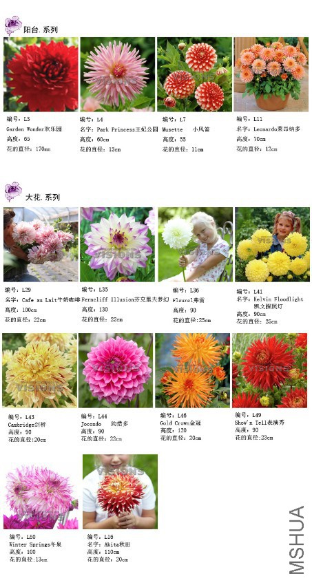 �Ű渱��.jpg