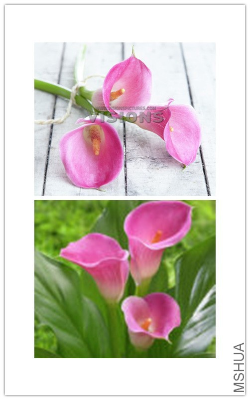 ���㸱��.jpg