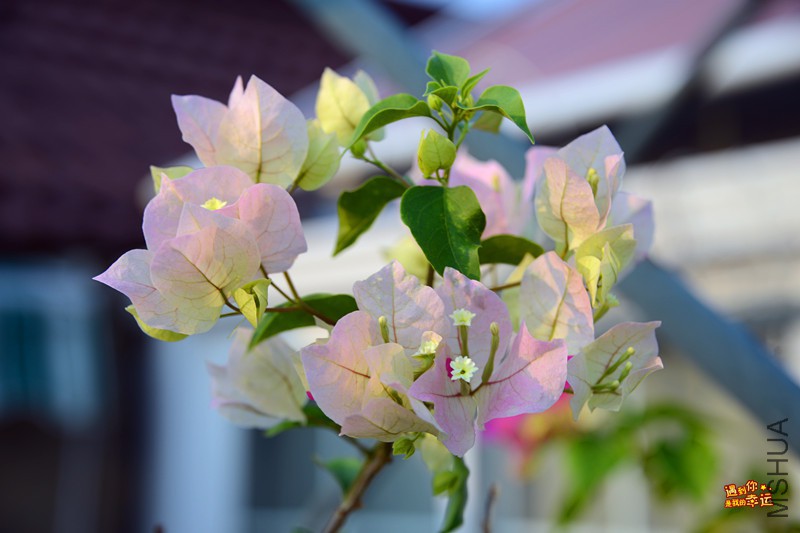 ��Ƭ 016_����.jpg