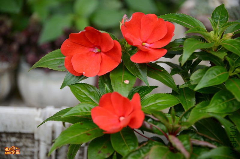 ��Ƭ 163_����.jpg