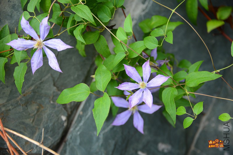 ��Ƭ 156_����.jpg