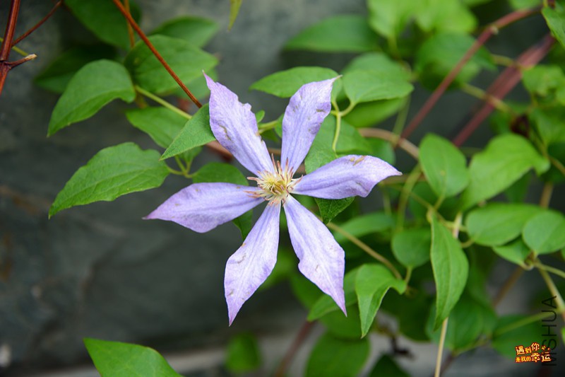 ��Ƭ 157_����.jpg