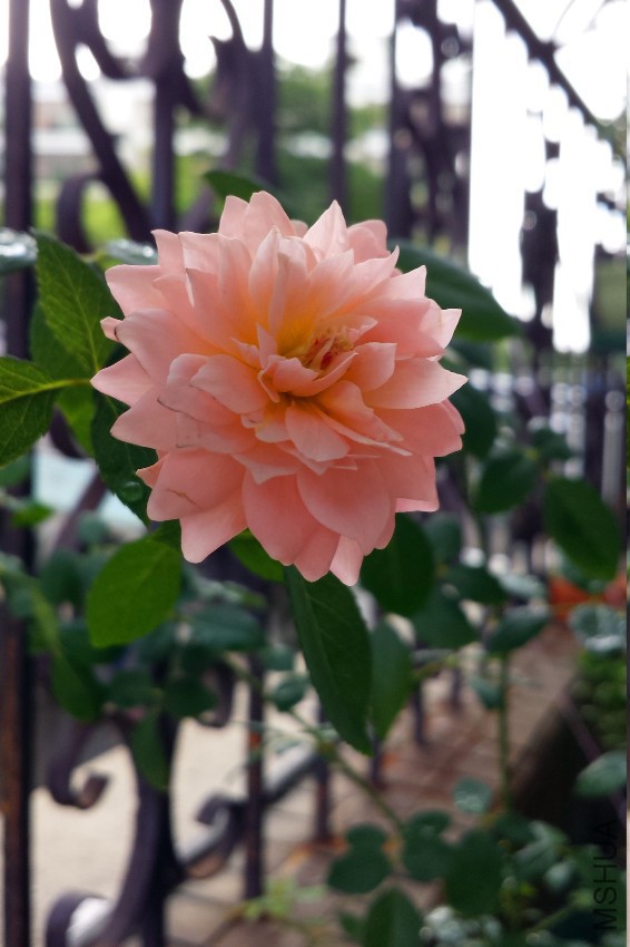��֪���¼�