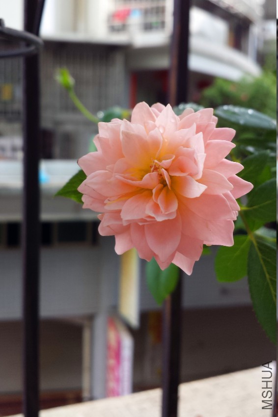 ��֪���¼�