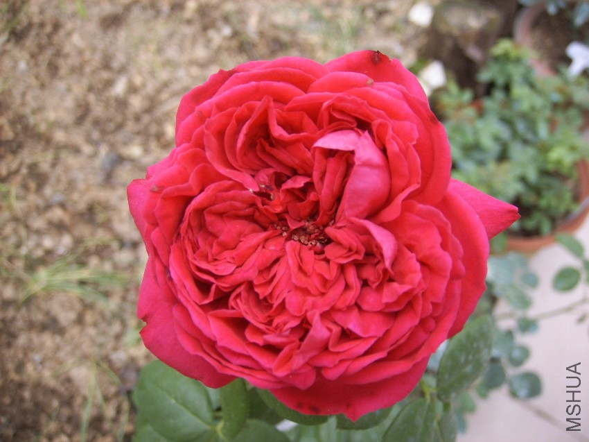 SPA50112.JPG