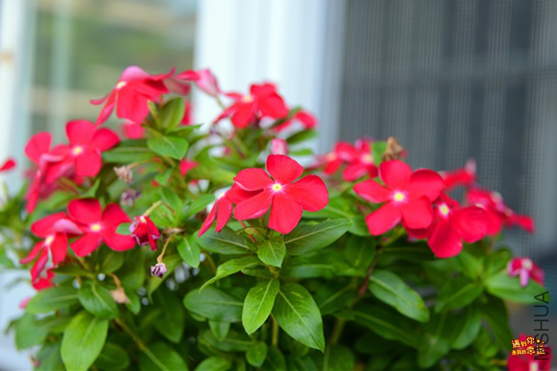 ��Ƭ 002_����.jpg