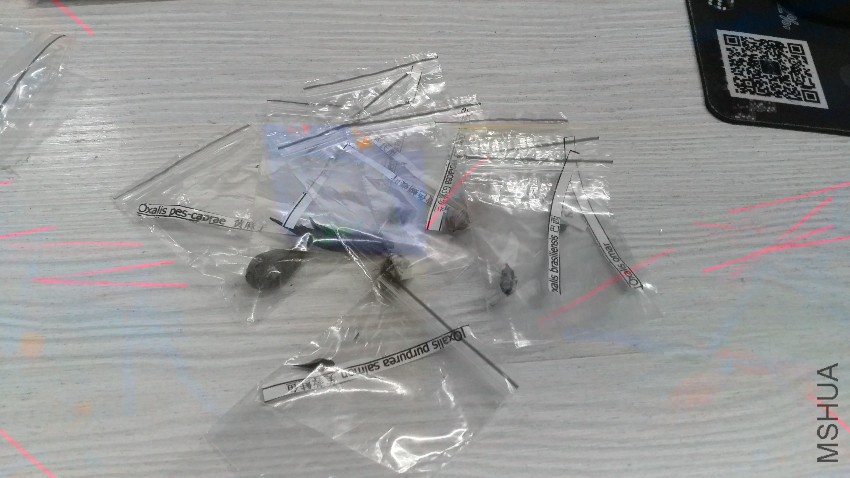 20160818_112905.jpg