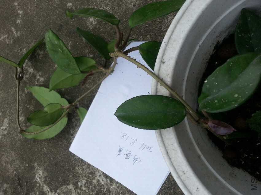 20160818_132716.jpg