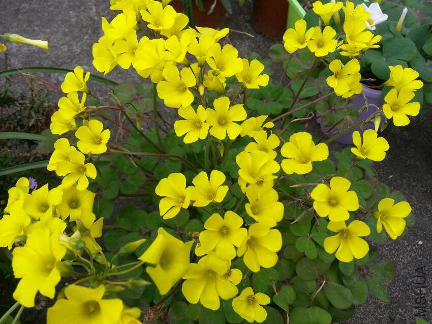 20160227_115511.jpg