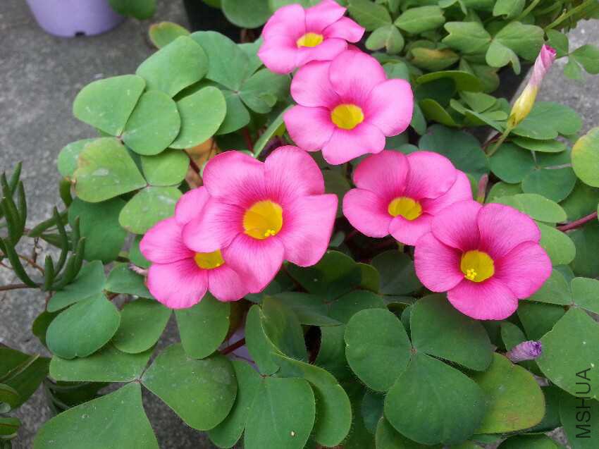 20160227_115430.jpg