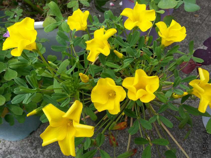 20160227_115447.jpg