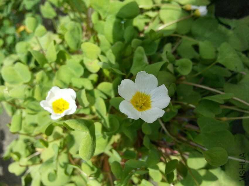 20160327_130531.jpg