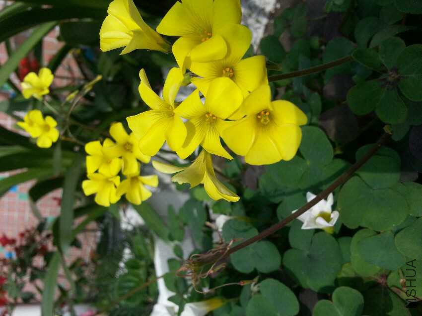 20160109_120701.jpg