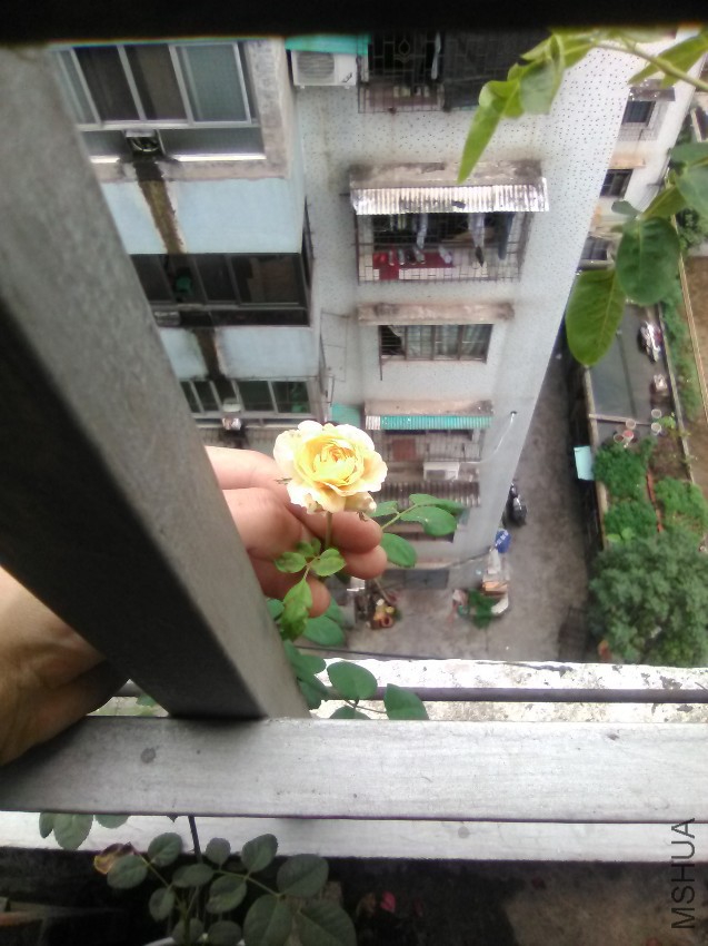 IMG_20160818_133207.jpg