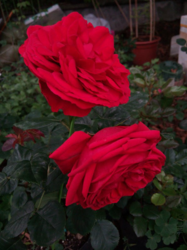 20150423112944.jpg