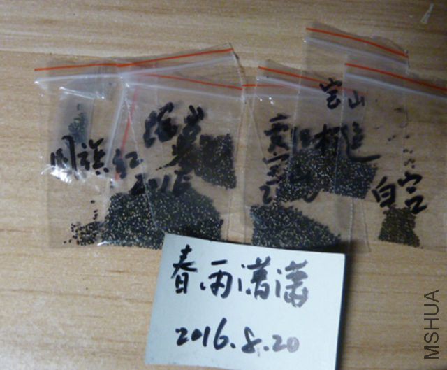 P1080601.JPG